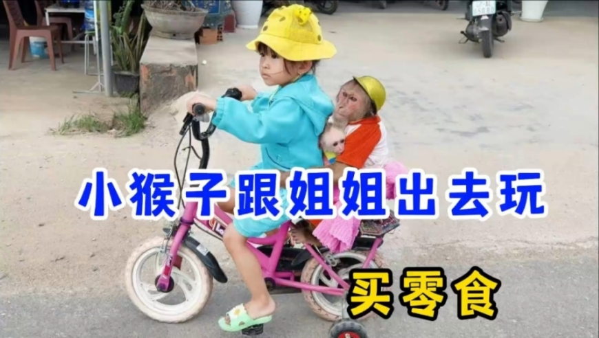 原神5.5卡池抽取建议,澳彩开奖结果2025开奖记录查询下载,全面解答解释落实_枚举版V5.18