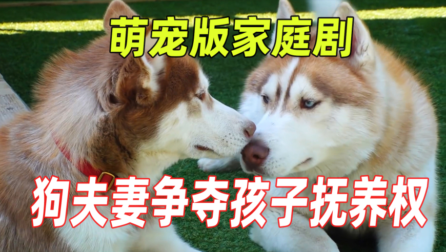 美国推出不含阿片成分的新款止痛药,2025澳门精准正版资料大全最新,决策资料解释落实_开发版V11.95
